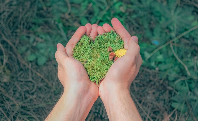 Fully-Funded BMO Fellowship by Watson Institute with Funding up to $6.000