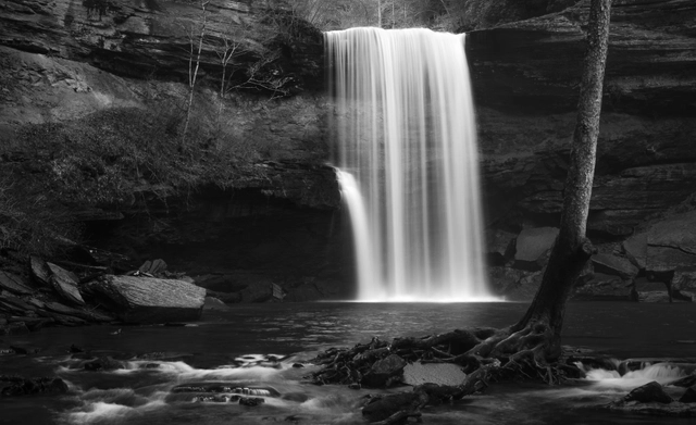 Chance to Win Valuable Photography Equipment at viewbug Photo Contest