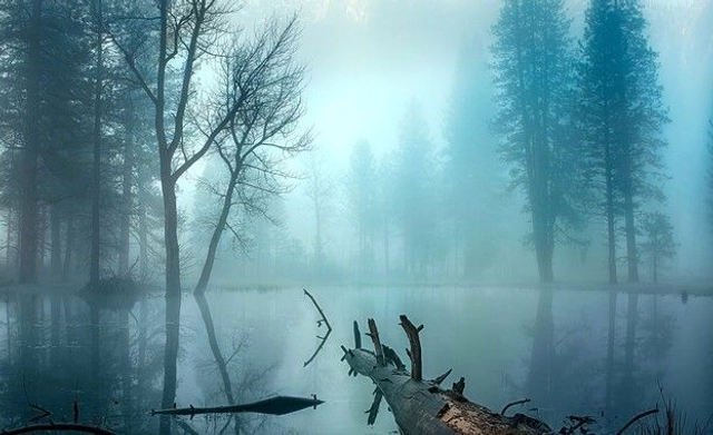 Photography Competition Showing Stillness and a Chance to Cash Prize of Win $500 