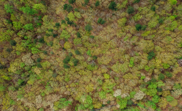 مسابقة صور درجات اللون الأخضر بجوائز 600 دولار من Viewbug