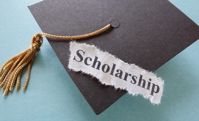 University of Miami Stamps Scholarship 2025