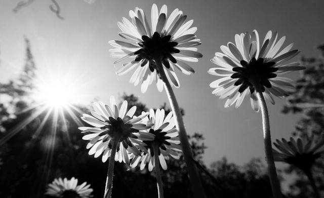 مسابقة صور الطبيعة بالأبيض والأسود من VIEWBUG وفرصة الفوز بجوائز قيمة