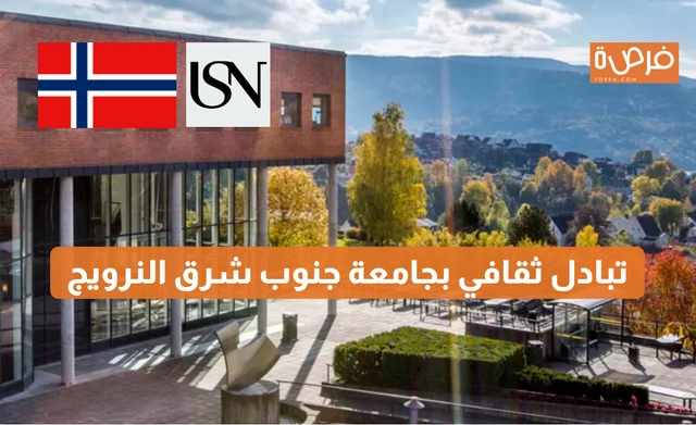 University of Southeast Norway Scholarship: Distinguished Study Opportunities for International Students