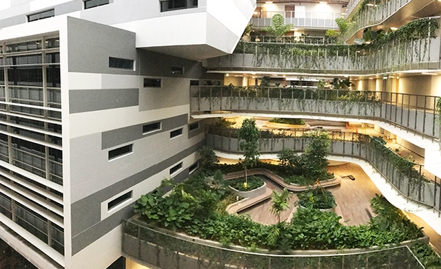 منح بكالوريوس ممولة بالكامل في سنغافورة من جامعة Nanyang Technological