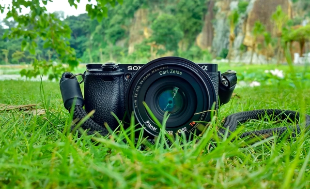 Opportunity to Win Cash Prizes in the Bio-Art Photography and Design Contest