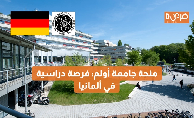 Ulm University Scholarship Opportunity in Germany