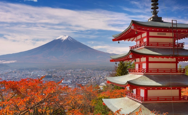 Partially Funded Fellowship in Japan from Japan Foundation
