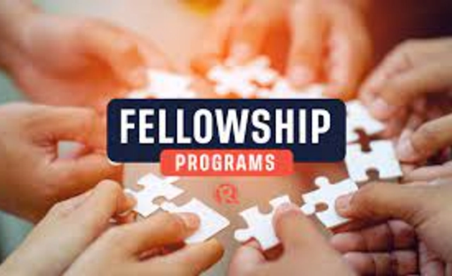 Remote Fellowships from Global Entrepreneurs and Leaders Academy in Nigeria