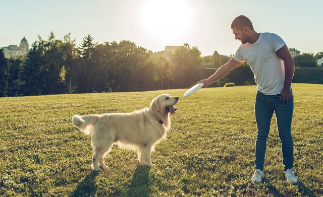 Grant of $1,000 for College Students Interested in Dogs from Golden Meadows Kennel 2019