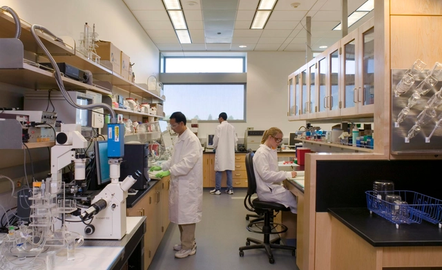 PhD Scholarship in Biomedical Engineering and Materials at QUT in Australia 
