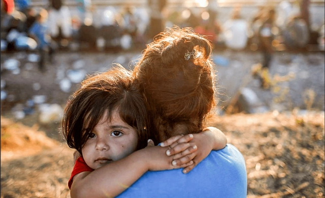 Research Grants Up to $50,000 in Health and Conflict from the Arab Council for the Social Sciences 