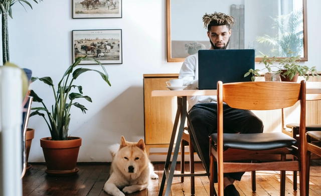 فرصة تطوع أونلاين لدى VegGo: أخصائي رسوم متحركة