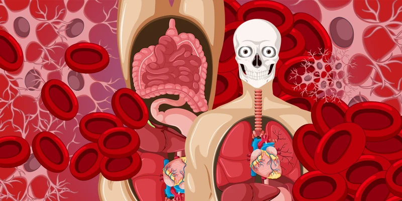 علم التشريح والأنسجة - Anatomy and Histology