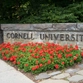 0-Cornell-3.jfif