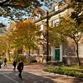 35-Penn-3.jpg