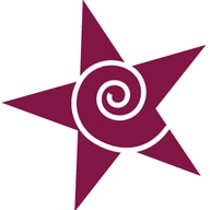 ستار سيرفزيس