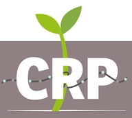 Collateral Repair Project