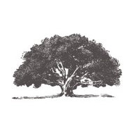 Future Impact Group