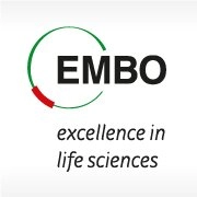 EMBO