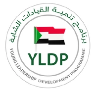 برنامج تنمية القيادات الشابة