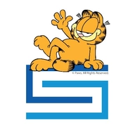 Center for Cyber Safety and Education