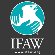 الصندوق الدولي لرعاية الحيوان