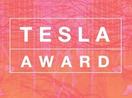 Transdisciplinary Experimental Slovenian Art Award