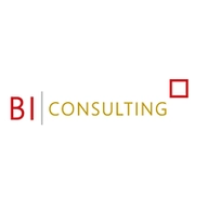BI Consulting