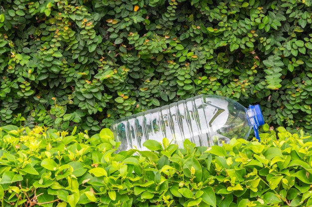 Creative Conscience Environmental Impact Awards 2021
