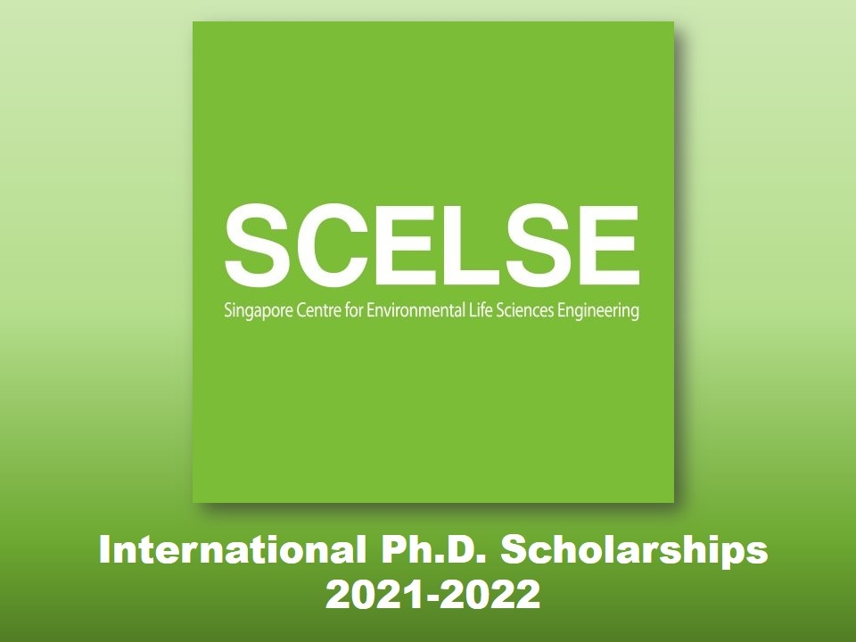 Fully Funded PhD Scholarships in Science from Singapore Life Sciences