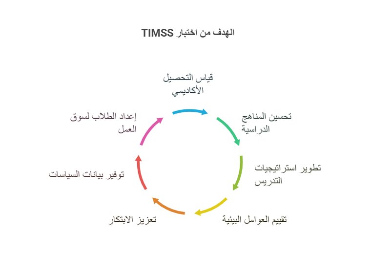 كل ما تحتاج معرفته عن اختبار TIMSS: دليلك الشامل للتميز في الرياضيات ...