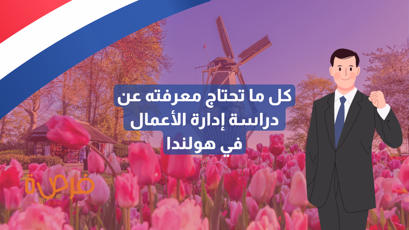 كيف تصبح رائد أعمال عالميًا؟ دليلك لدراسة إدارة الأعمال في هولندا