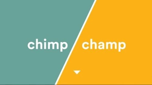 chimp or champ