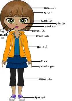 تعلم اللغة التركية | أجزاء جسم الإنسان