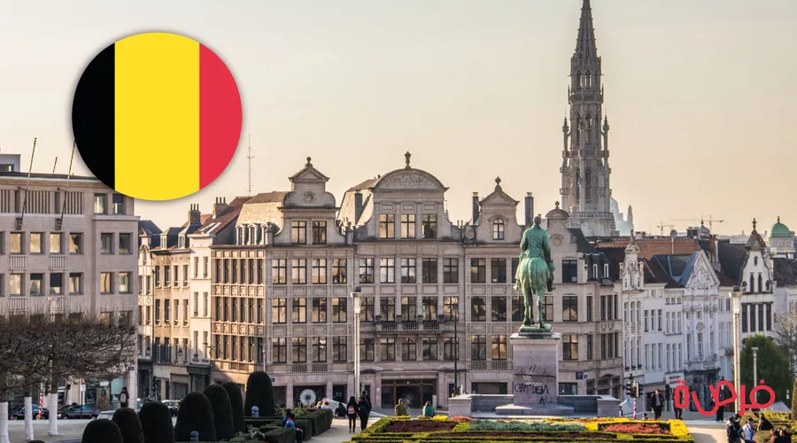 The Full Guide to Studying in Belgium 