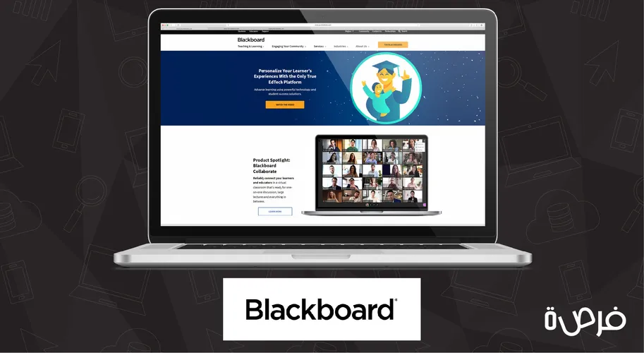 All You Need to Know about Blackboard